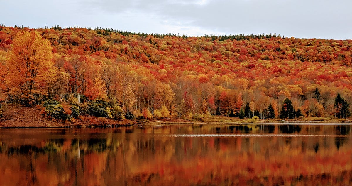 West Virginia mobile ID updates